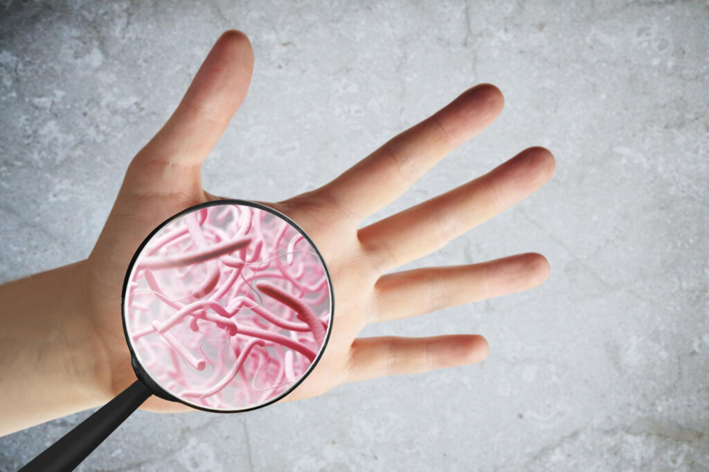 Mikroorganizmy na ruke pod lupou