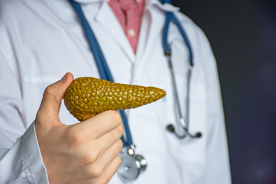 Lekár v bielom plášti so stetoskopom drží anatomický model pankreasu.