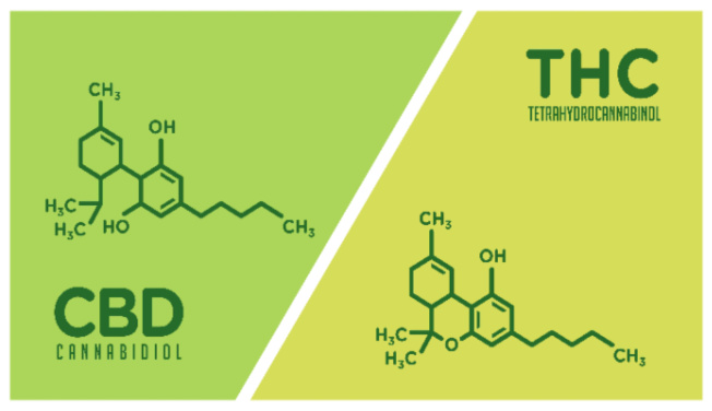 THC a CBD