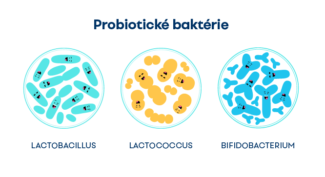 Probiotiká