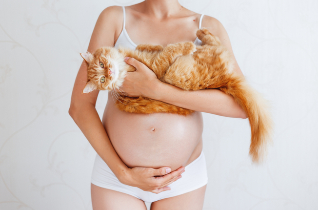 toxoplasomsis pregnant woman with cat