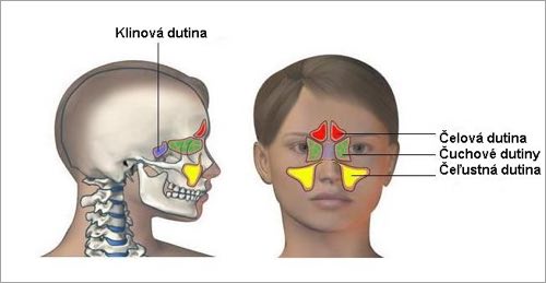 Prinosové dutiny