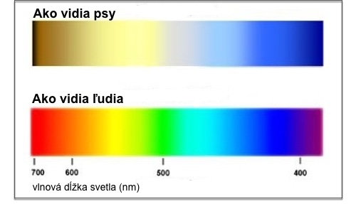 Korekcia poruchy farbocitu